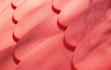 Hassendean plastic roof costs