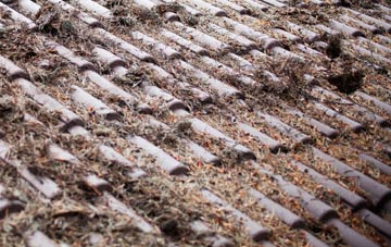 Hassendean roof cleaning companies