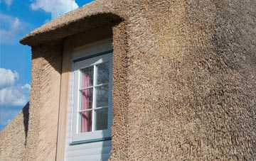 Hassendean thatch roof disadvantages